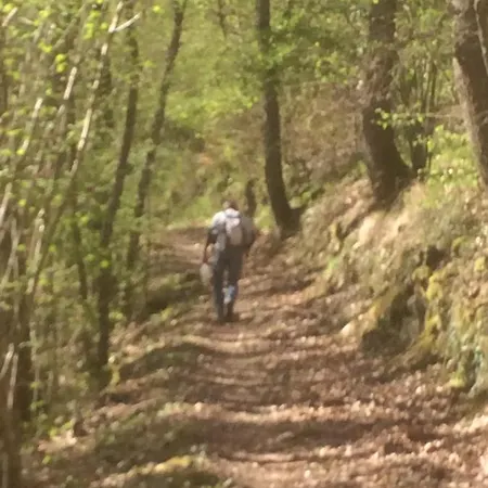 Maison De Holiday home Bompas (Ariege)